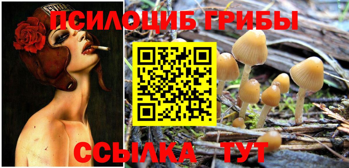 Псилоцибиновые грибы GOLDEN TEACHER  Вход с VPN  Десногорск 